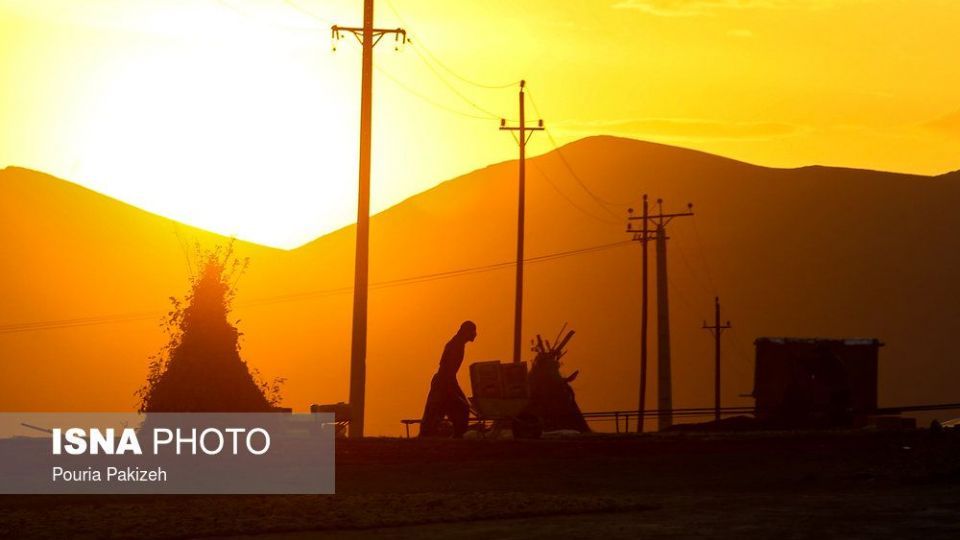 برداشت انگور و تولید کشمش و شیره در ملایر