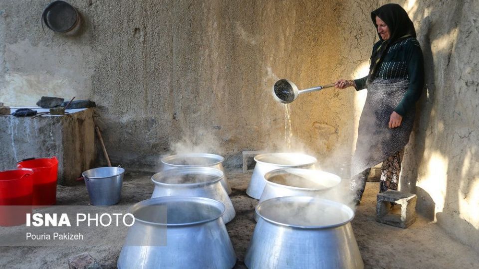 برداشت انگور و تولید کشمش و شیره در ملایر