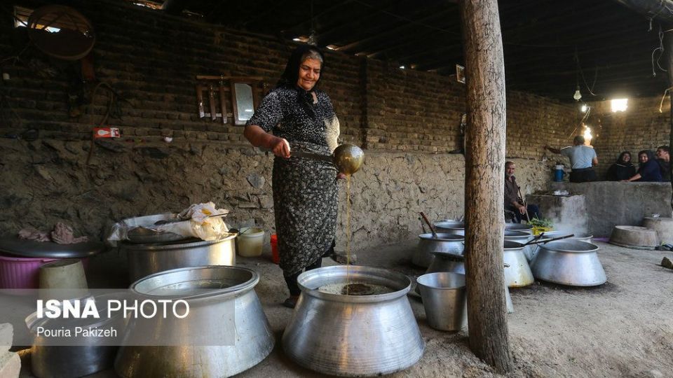 برداشت انگور و تولید کشمش و شیره در ملایر