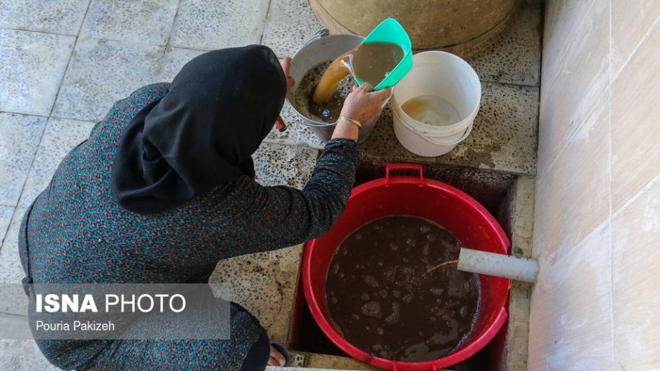 برداشت انگور و تولید کشمش و شیره در ملایر