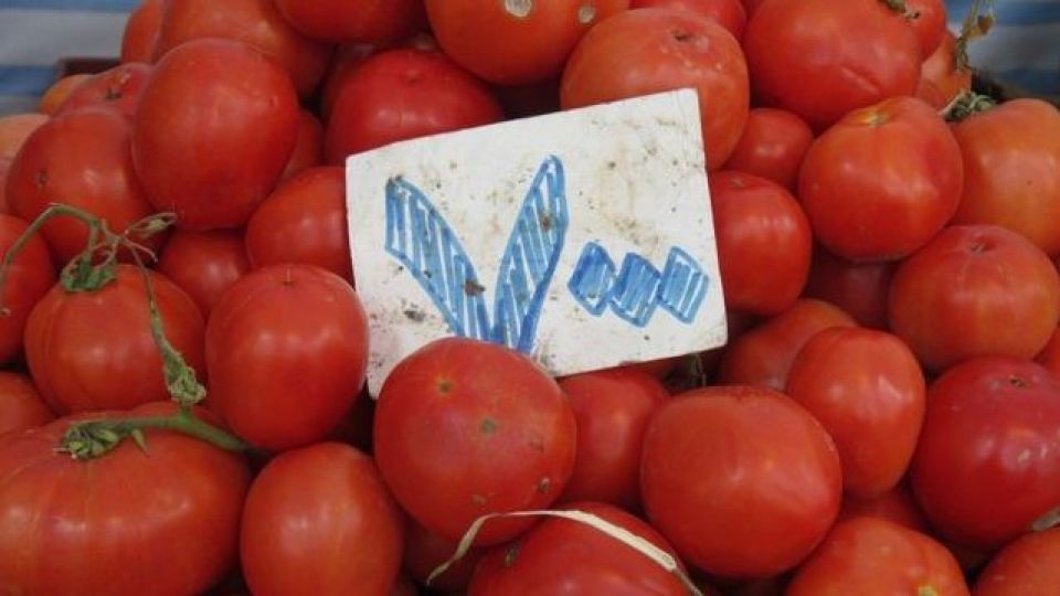 گرانی مواد غذایی پرمصرف ۴۷ درصد شد/ گوجهفرنگی رکورددار گرانی + جدول گرانی مواد غذایی پرمصرف ۴۷ درصد شد/ گوجهفرنگی رکورددار گرانی + جدول