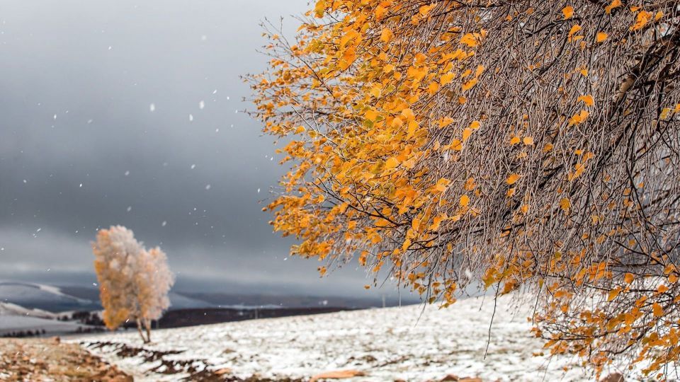 عکس‌های برتر حیات‌وحش هفته به انتخاب گاردین