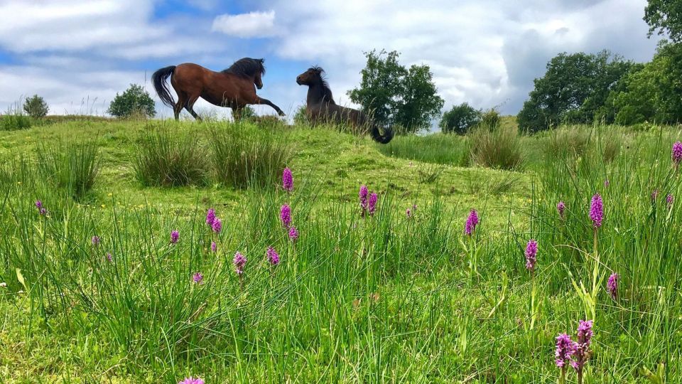 عکس‌های برتر حیات‌وحش هفته به انتخاب گاردین