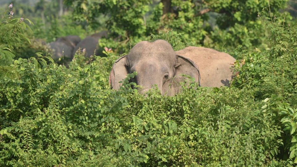 عکس‌های برتر حیات‌وحش هفته به انتخاب گاردین