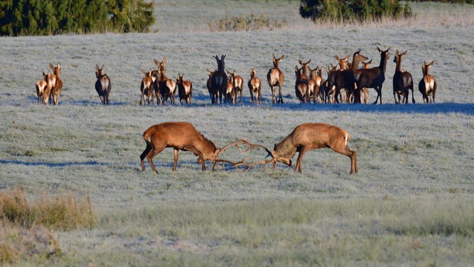 عکس‌های برتر حیات‌وحش هفته به انتخاب گاردین