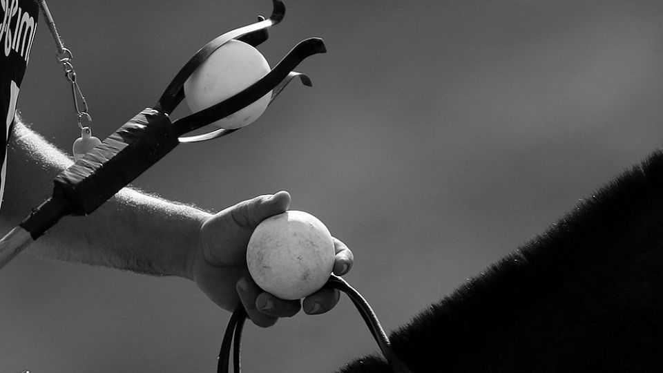 هشتمین دوره مسابقات چوگان