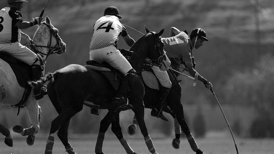 هشتمین دوره مسابقات چوگان