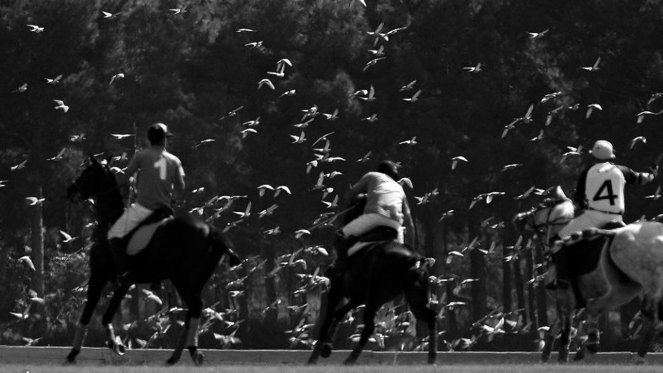 هشتمین دوره مسابقات چوگان