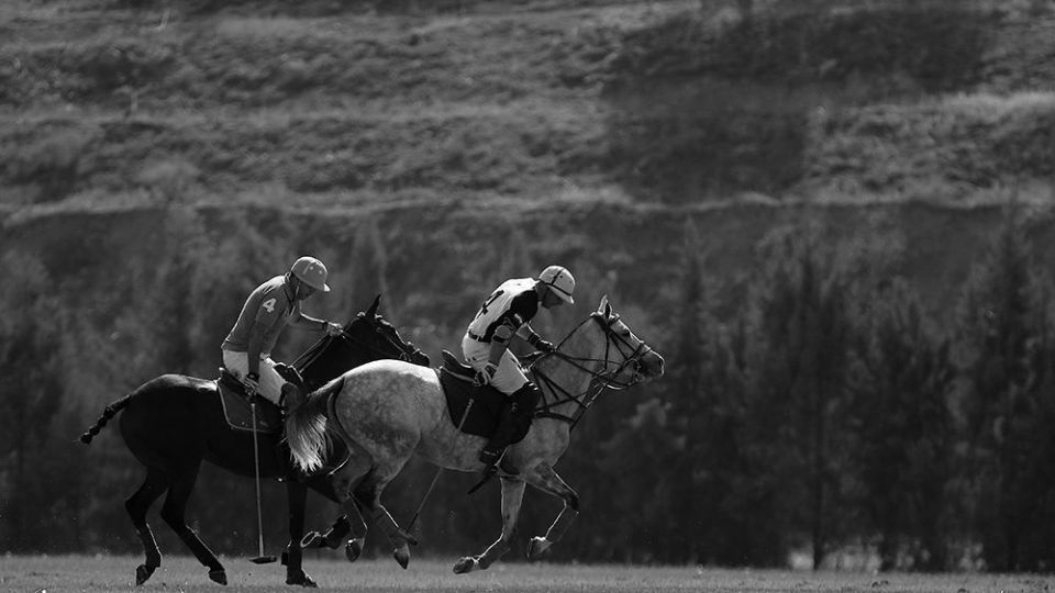 هشتمین دوره مسابقات چوگان