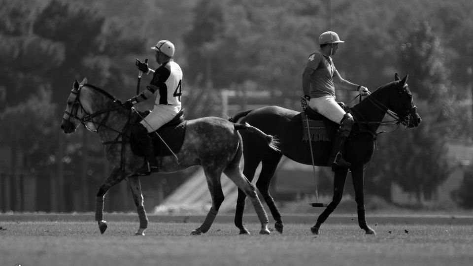 هشتمین دوره مسابقات چوگان