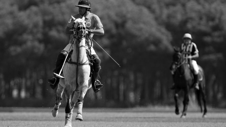 هشتمین دوره مسابقات چوگان