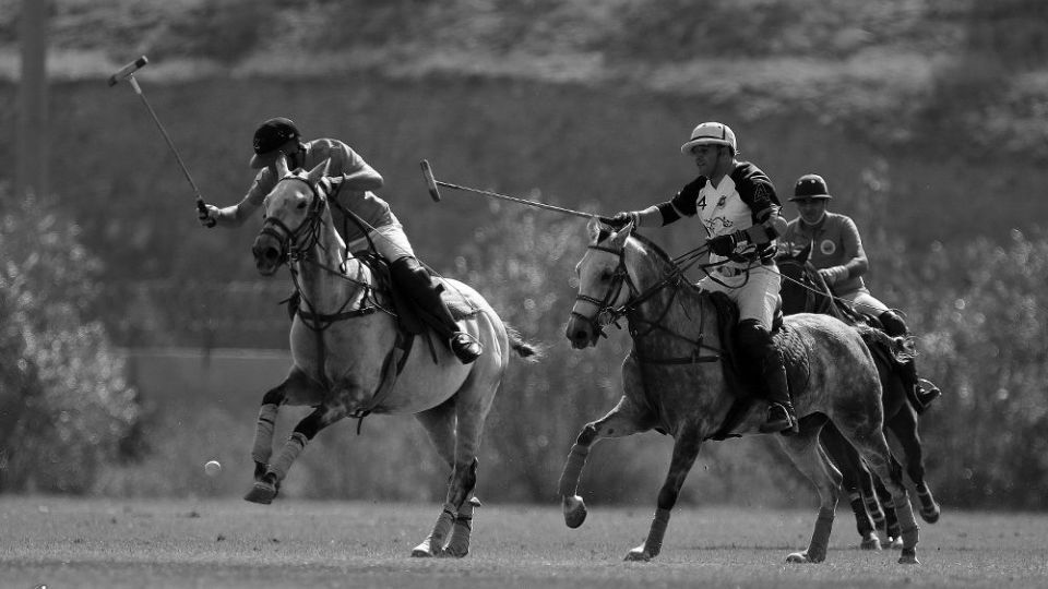 هشتمین دوره مسابقات چوگان