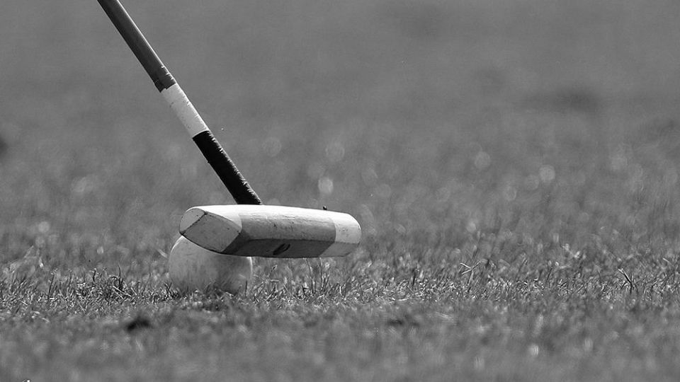 هشتمین دوره مسابقات چوگان