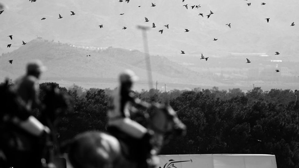 هشتمین دوره مسابقات چوگان