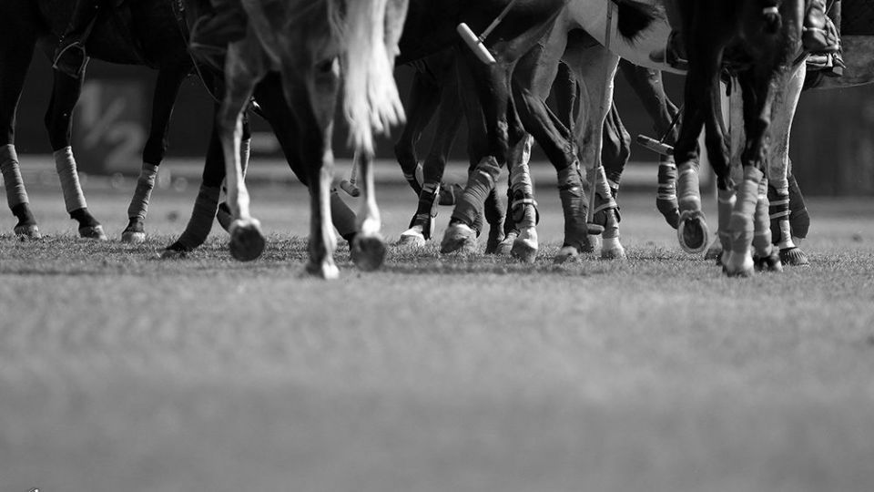 هشتمین دوره مسابقات چوگان