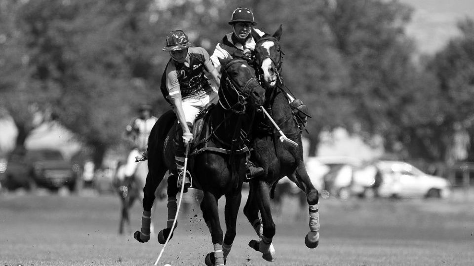 هشتمین دوره مسابقات چوگان