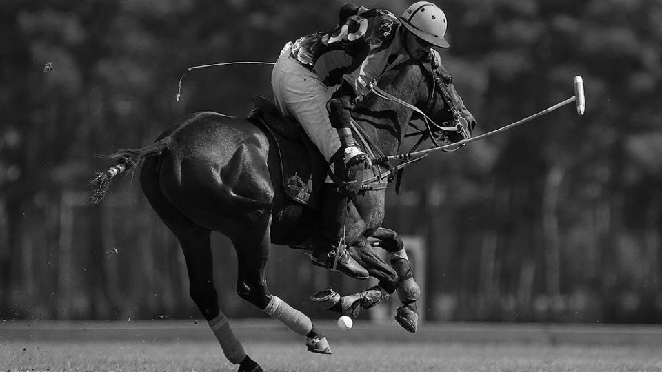 هشتمین دوره مسابقات چوگان