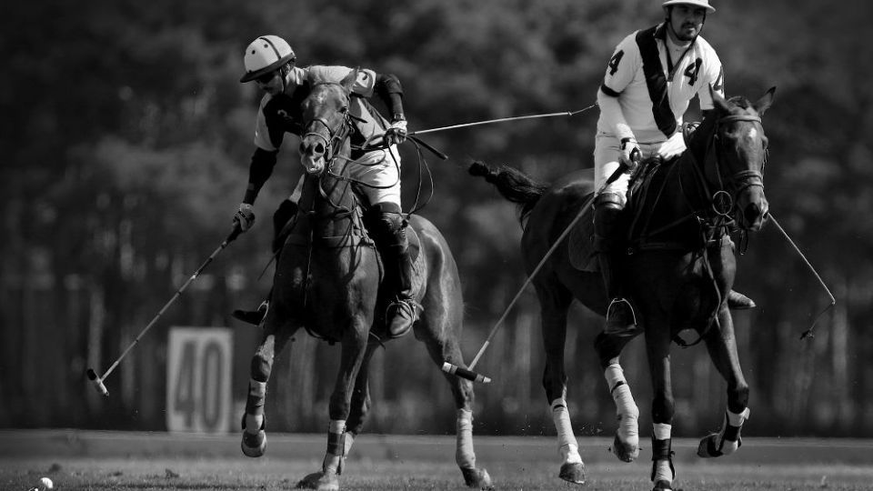 هشتمین دوره مسابقات چوگان