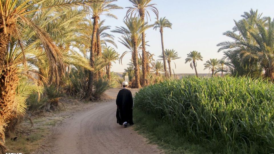 امرار معاش روحانی کشاورز در کنار تبلیغ امرار معاش روحانی کشاورز در کنار تبلیغ