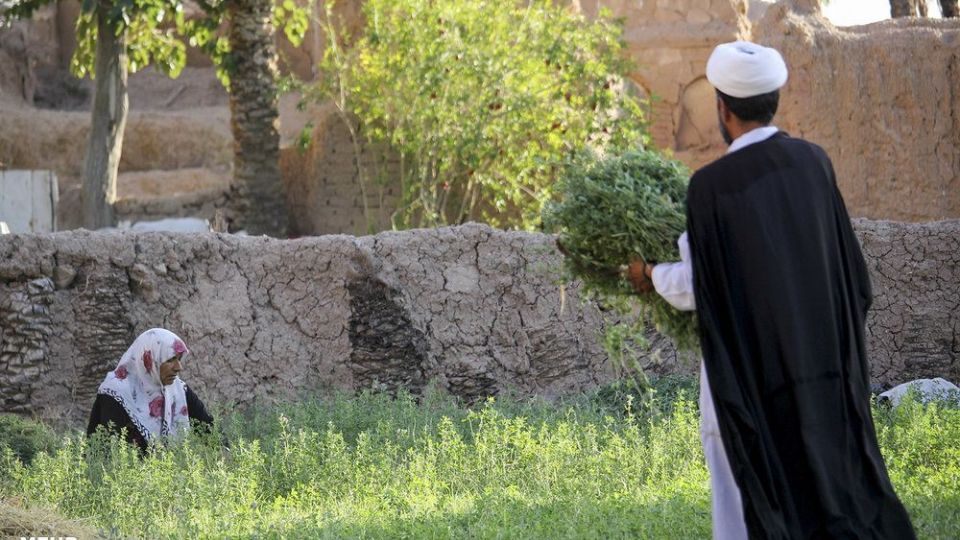 امرار معاش روحانی کشاورز در کنار تبلیغ امرار معاش روحانی کشاورز در کنار تبلیغ