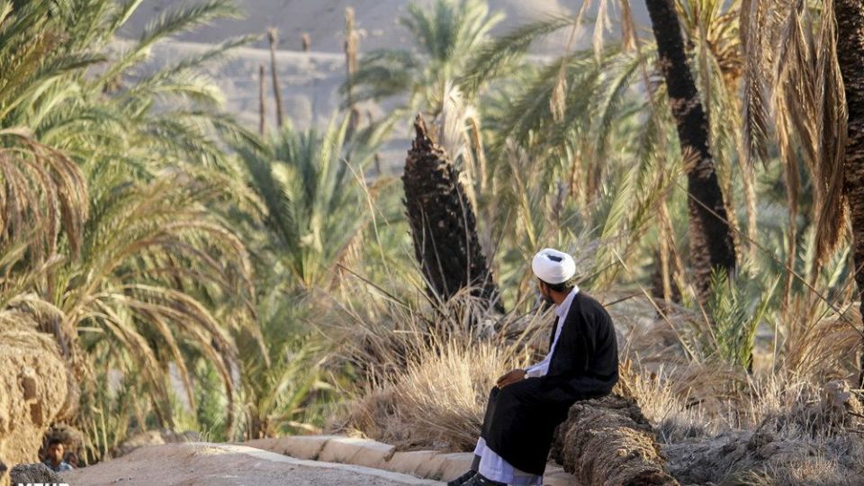 امرار معاش روحانی کشاورز در کنار تبلیغ امرار معاش روحانی کشاورز در کنار تبلیغ