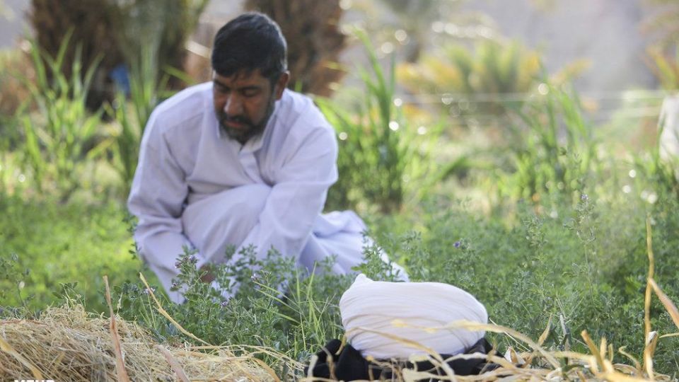 امرار معاش روحانی کشاورز در کنار تبلیغ امرار معاش روحانی کشاورز در کنار تبلیغ