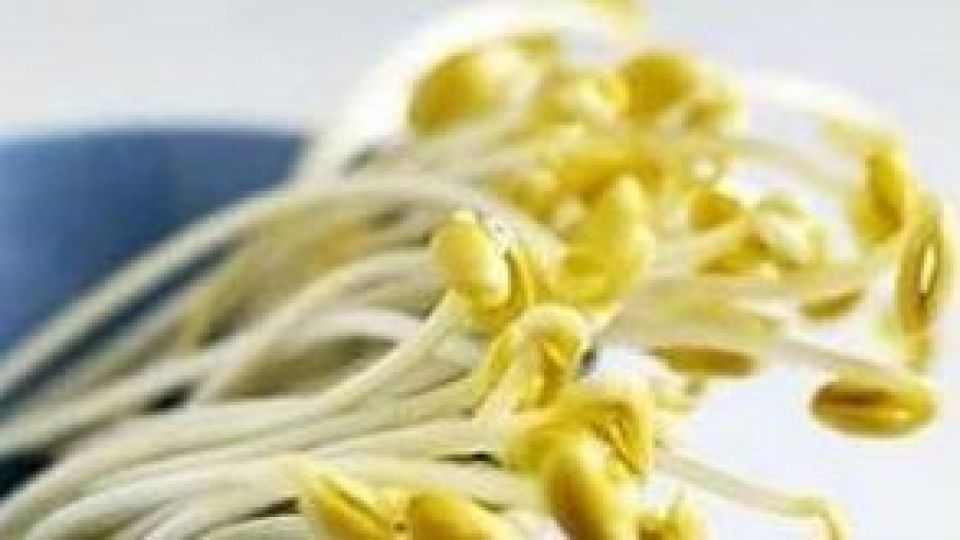 محافظت از کبد با "روغن جوانه گندم" محافظت از کبد با "روغن جوانه گندم"