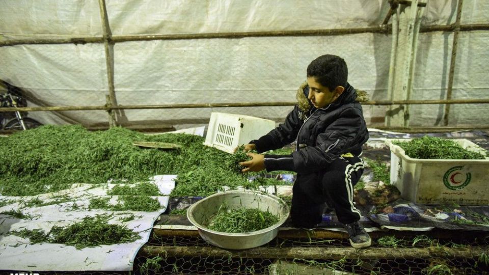 پخت 84 هزارکیلو آش نذری در شیراز