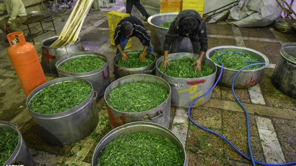 پخت 84 هزارکیلو آش نذری در شیراز