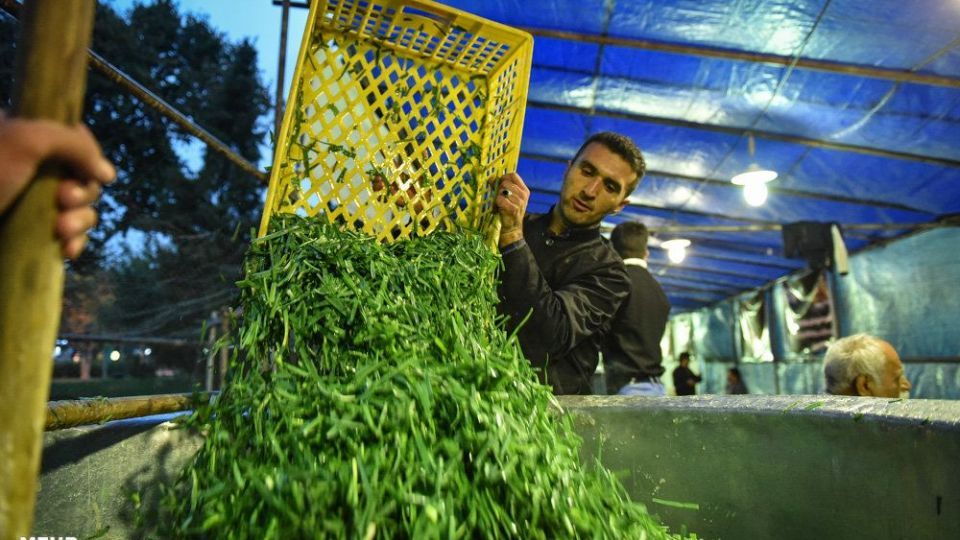 پخت 84 هزارکیلو آش نذری در شیراز