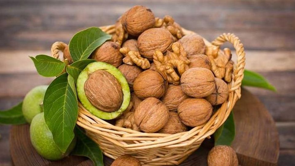 تاثیر گردو در حفظ سلامت دستگاه گوارش تاثیر گردو در حفظ سلامت دستگاه گوارش