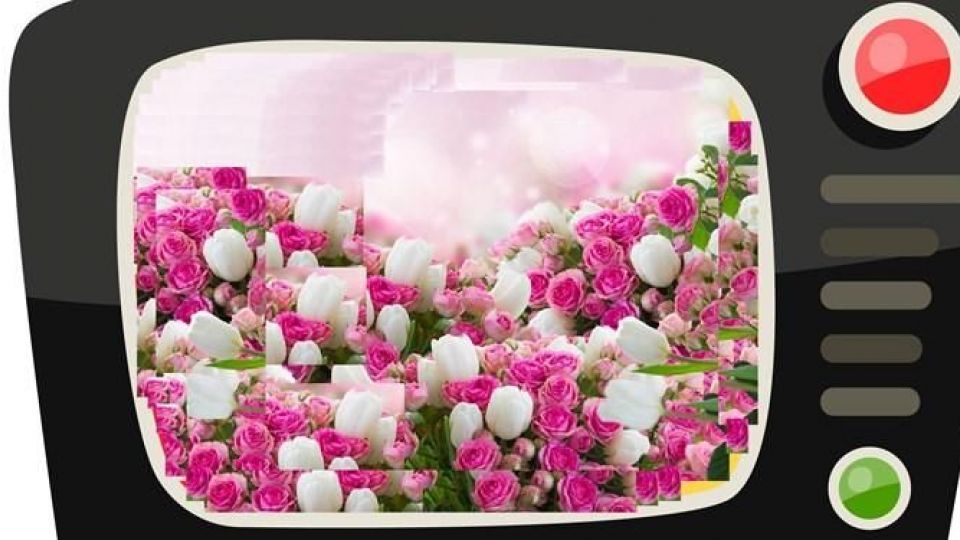 پخش ۵۰ فیلم از تلویزیون در تعطیلات پخش ۵۰ فیلم از تلویزیون در تعطیلات