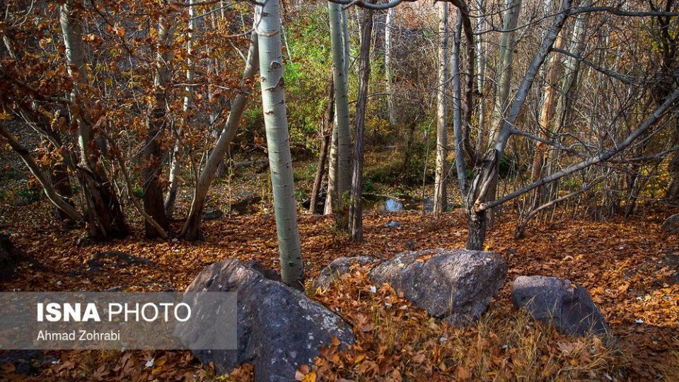 ایران زیباست؛ طبیعت پاییزی در روستای «اول»