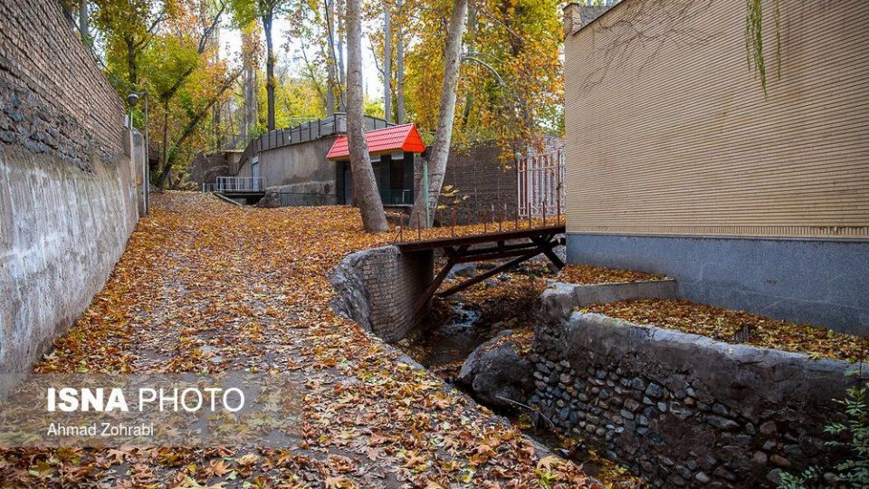ایران زیباست؛ طبیعت پاییزی در روستای «اول»