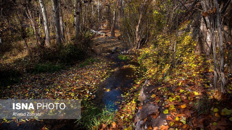 ایران زیباست؛ طبیعت پاییزی در روستای «اول»