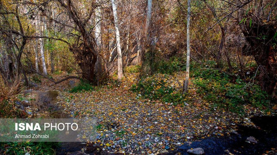 ایران زیباست؛ طبیعت پاییزی در روستای «اول»