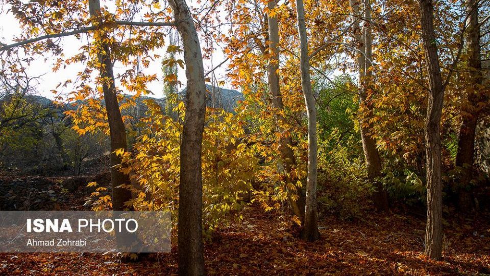 ایران زیباست؛ طبیعت پاییزی در روستای «اول»
