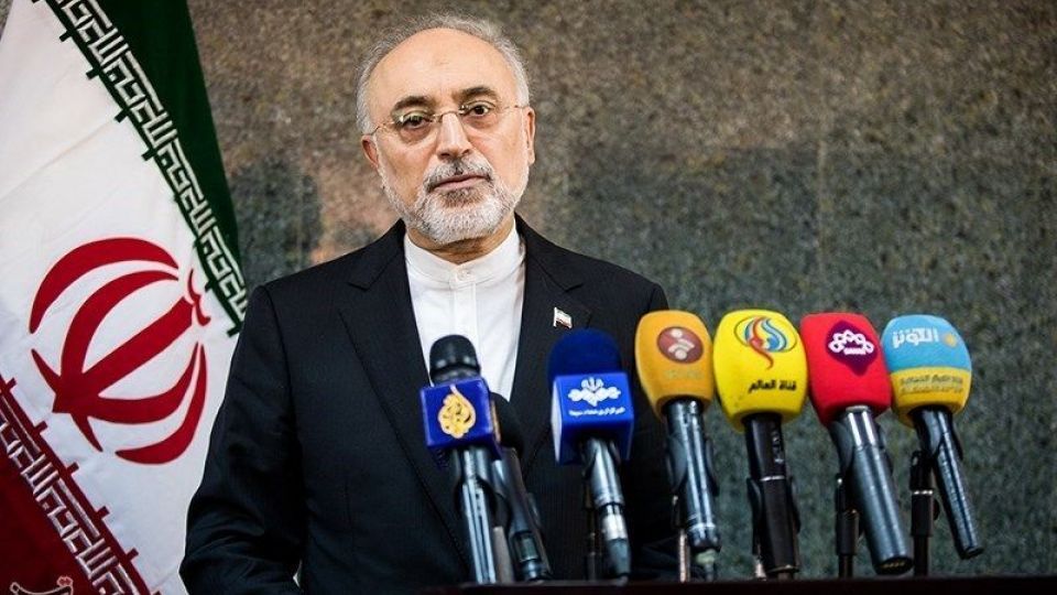 صالحی: در صورت از بین رفتن برجام آماده از سرگیری غنی سازی 20 درصدی هستیم صالحی: در صورت از بین رفتن برجام آماده از سرگیری غنی سازی 20 درصدی هستیم