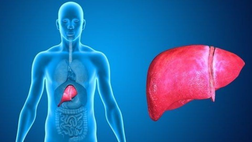 توصیههایی برای پاکسازی کبد که باید بدانید توصیههایی برای پاکسازی کبد که باید بدانید