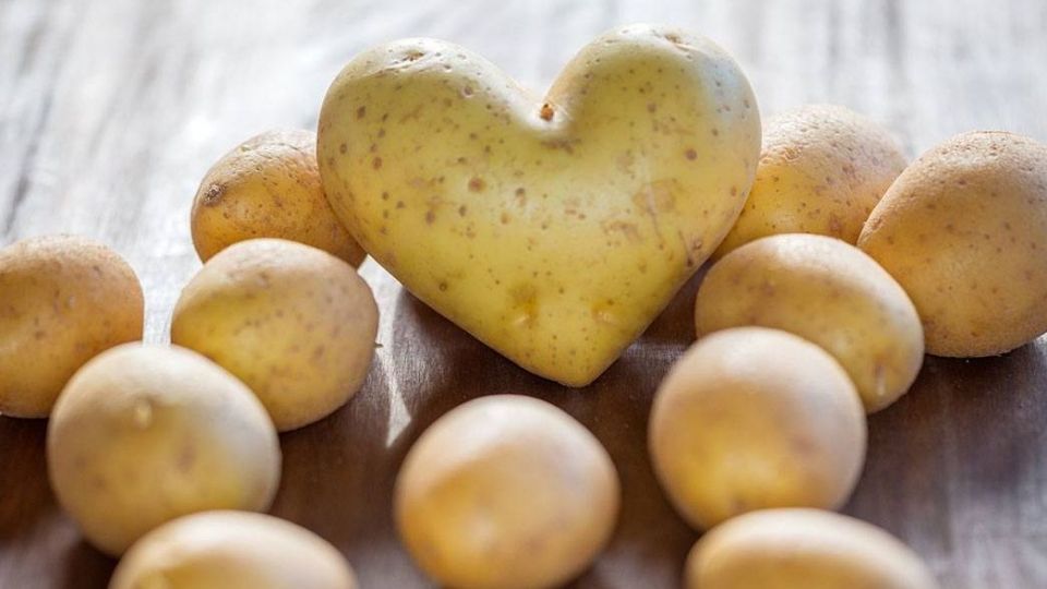 فواید سیبزمینی در پیشگیری از سرطان فواید سیبزمینی در پیشگیری از سرطان