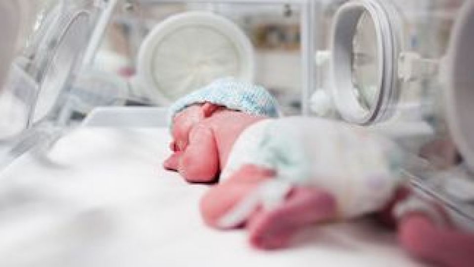 سودجویی در تعیین جنسیت فرزند سودجویی در تعیین جنسیت فرزند