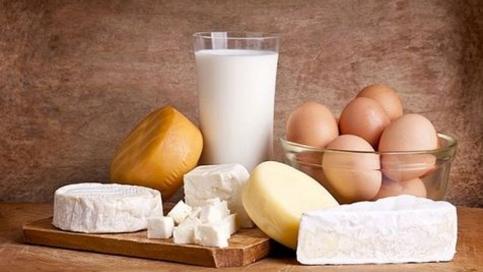 مواد پروبیوتیک چه خواصی دارند؟ مواد پروبیوتیک چه خواصی دارند؟