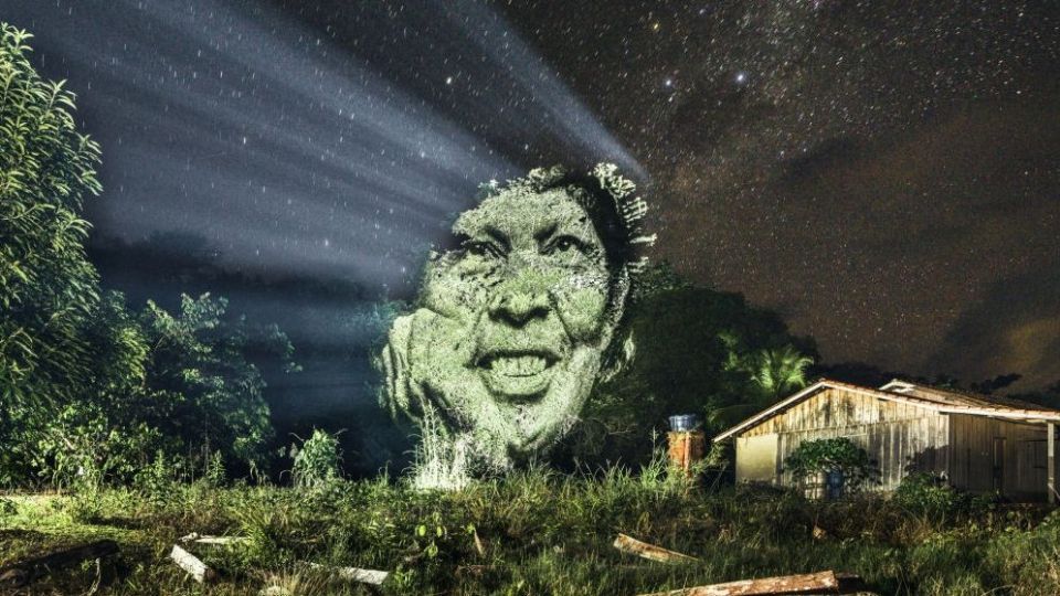 چهره پردازی با نور بر روی درختان خیابانی در آمازون