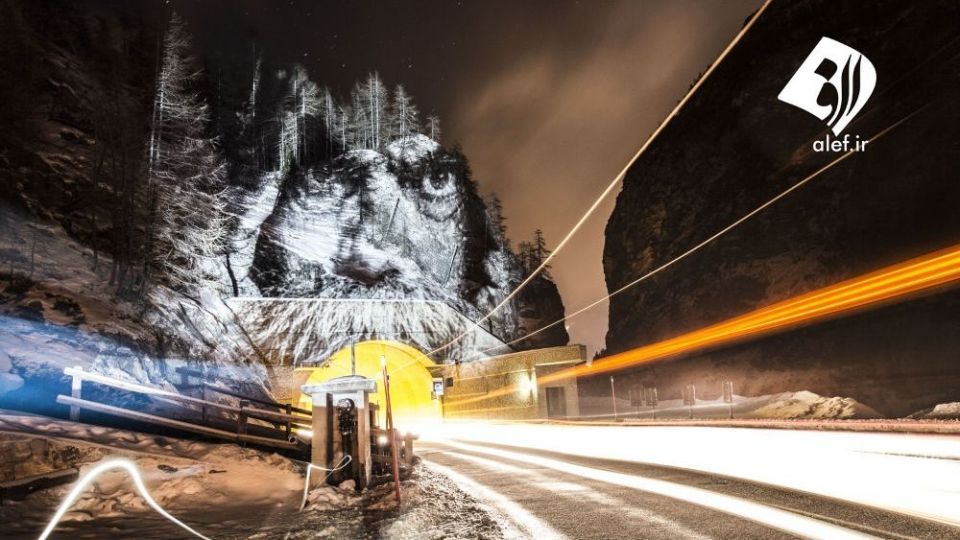 چهره پردازی با نور بر روی درختان خیابانی در آمازون