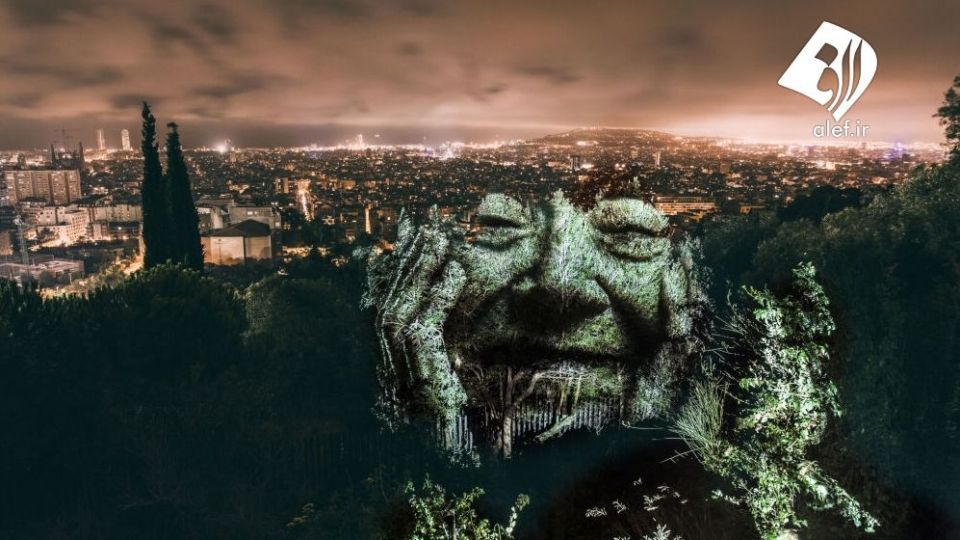 چهره پردازی با نور بر روی درختان خیابانی در آمازون