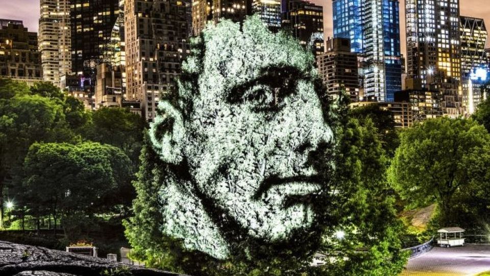 چهره پردازی با نور بر روی درختان خیابانی در آمازون