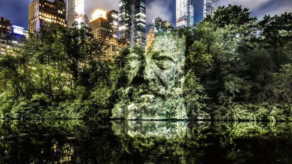 چهره پردازی با نور بر روی درختان خیابانی در آمازون