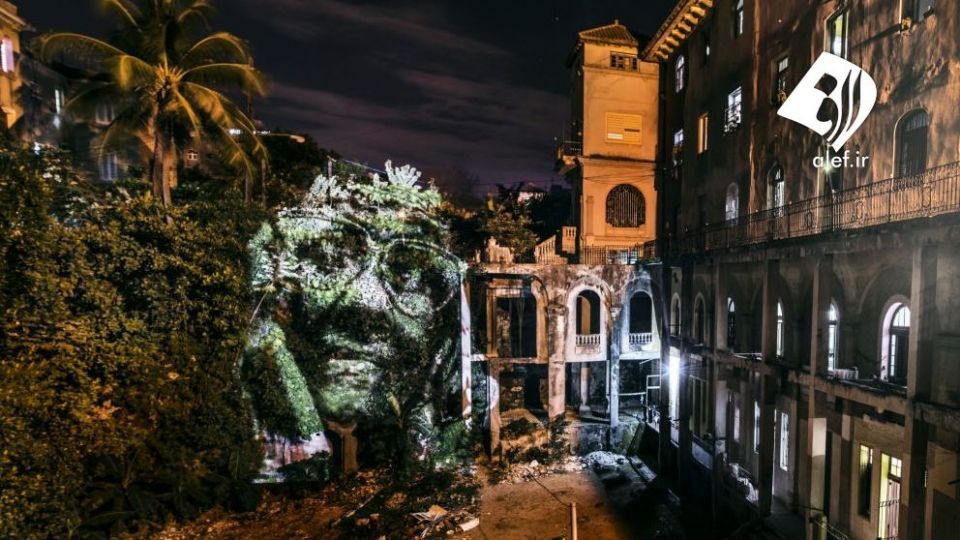 چهره پردازی با نور بر روی درختان خیابانی در آمازون