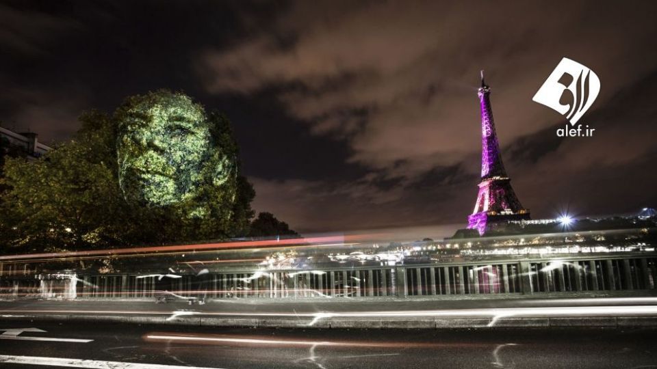 چهره پردازی با نور بر روی درختان خیابانی در آمازون