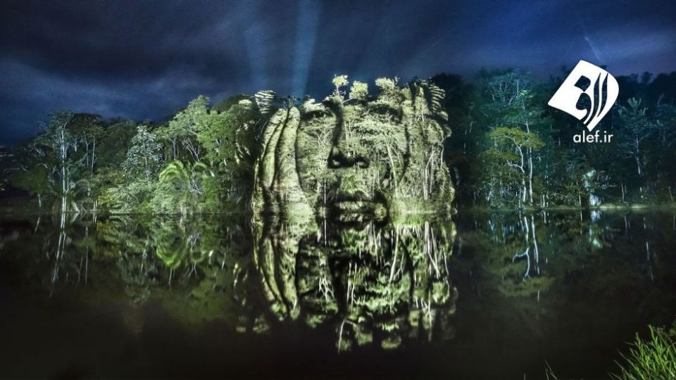 چهره پردازی با نور بر روی درختان خیابانی در آمازون